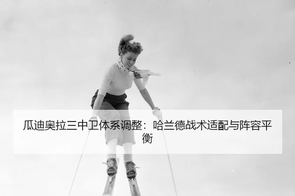 gua-di-ao-la-san-zhong-wei-ti-xi-tiao-zheng-ha-lan-de-zhan-shu-shi-pei-yu-zhen-rong-ping-heng-2-549.jpg
